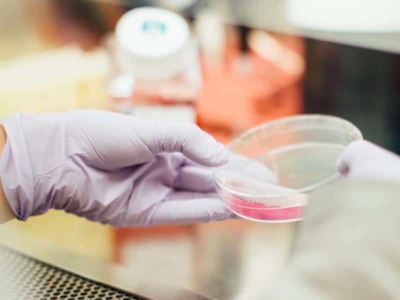 Next Steps in Globalisation of Commercial Operations in Life Sciences
