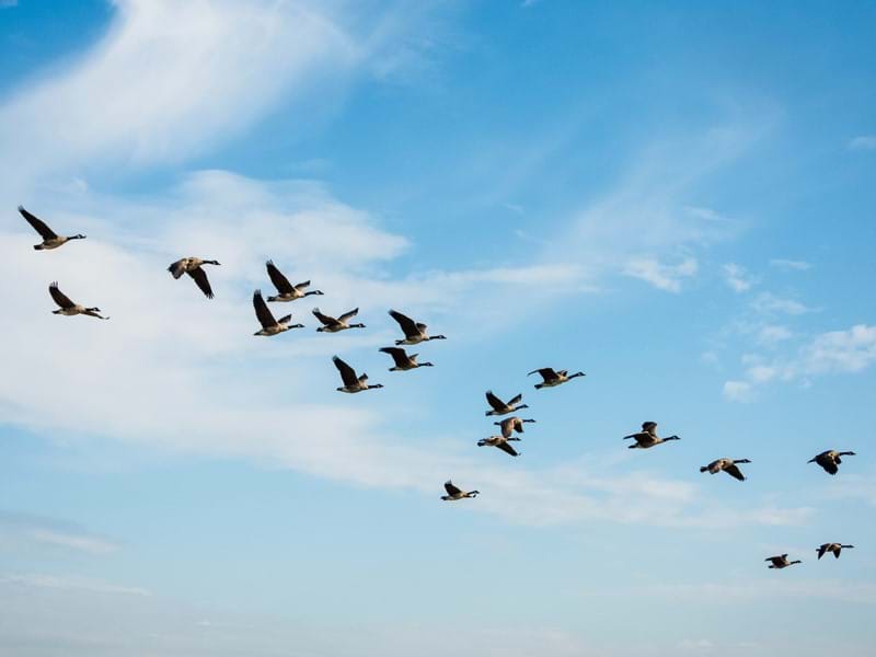Moving to the Public Cloud: Overcoming the Business Challenges