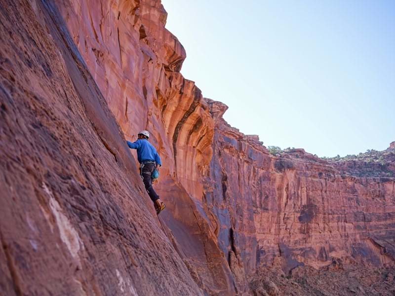 Profitable Tech Products: Escaping the Organic Growth 'Comfort Zone'